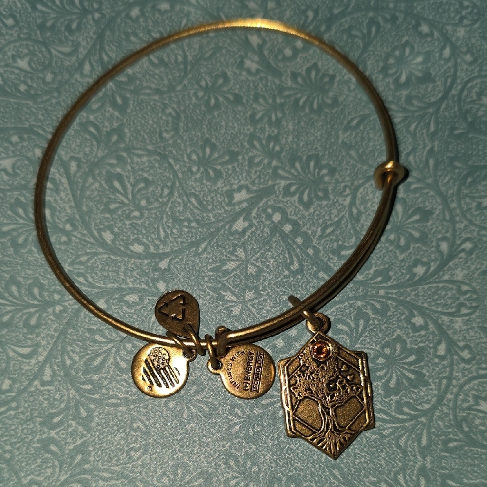 Alex and Ani Gold Charm Bracelet